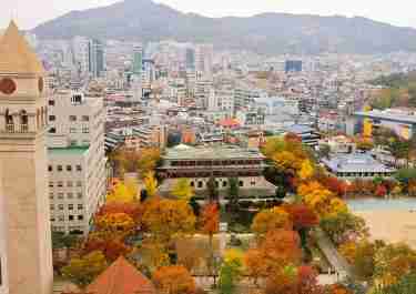 解忧留学社专注韩国留学,遇见解忧希望你喜欢,我们曾经是你,所以更加懂你,解忧的成员都是在国外留学生活并且从事过相关工作有着丰富的经验，以便处理申请中的各种问题，保持初心，旨在为各位学弟学妹们铺垫一个更加舒心放心的留学第一步.